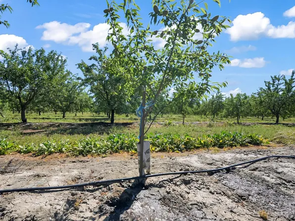 Buchanan Hollow Rd, Le Grand, CA 95333