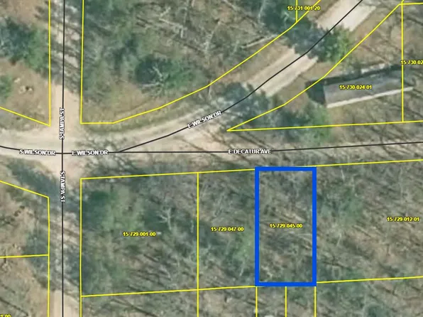 V/l E Decatur, Idlewild, MI 49642