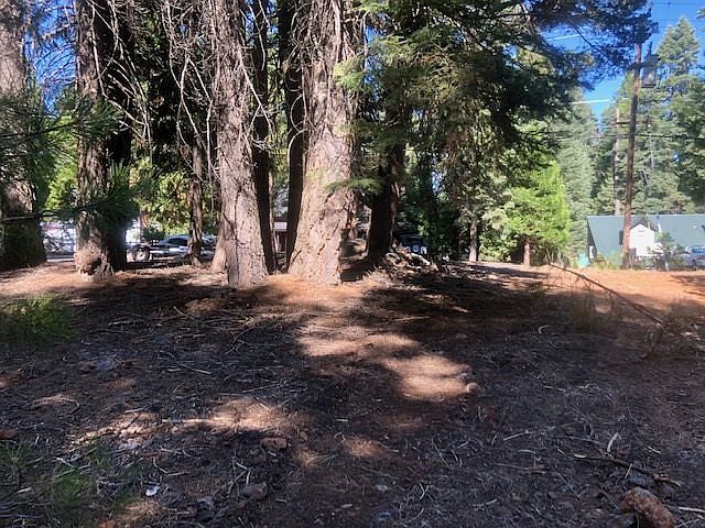 2nd image of 1135 Lassen View Dr
