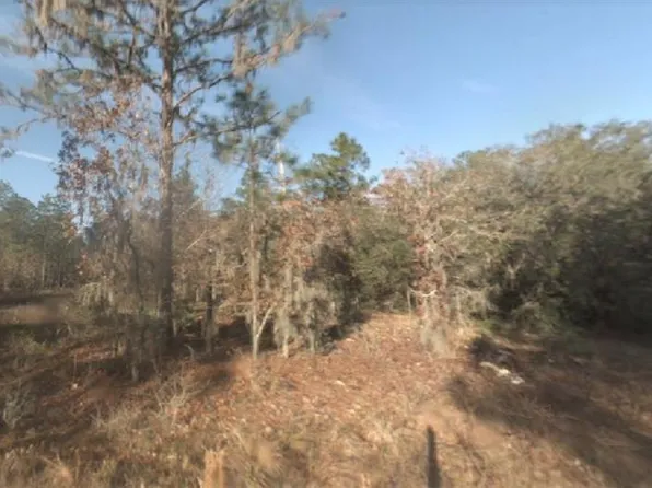 SW 156th Ave Lot 19, Ocala, FL 34481