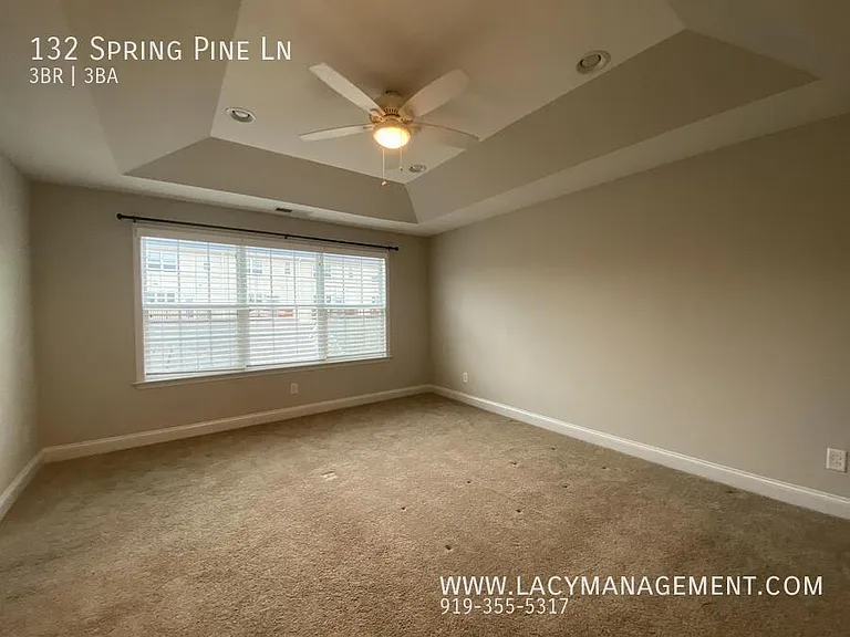 132 Spring Pine Ln — Photo 14