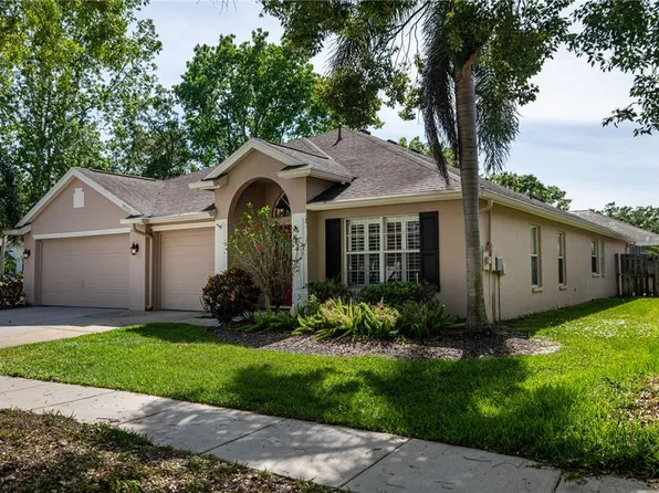 10333 Abbotsford Dr, Tampa, FL 33626