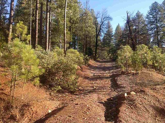 2nd image of 513 Highway 89