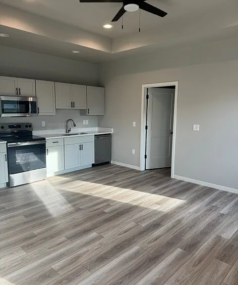 Living Room / Kitchen