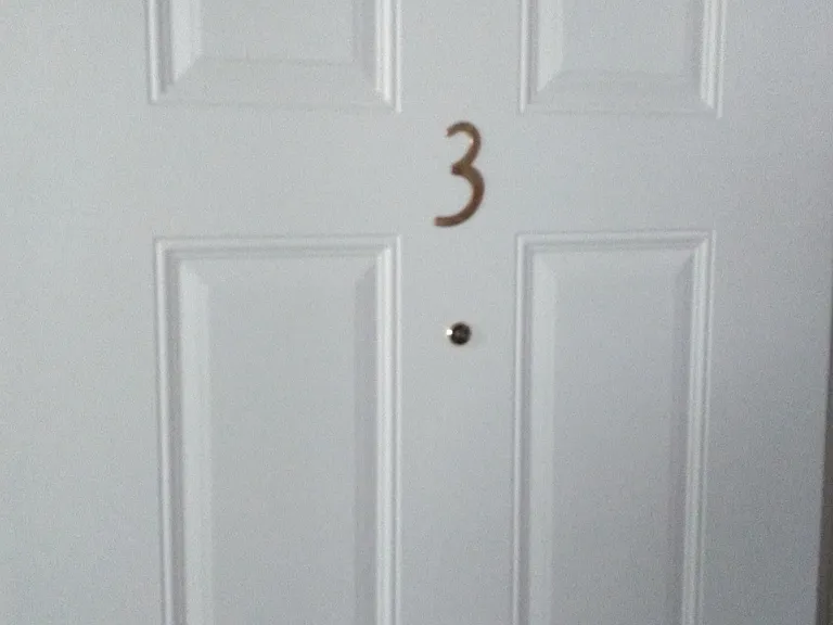 811 Maple St #3 — Photo 2