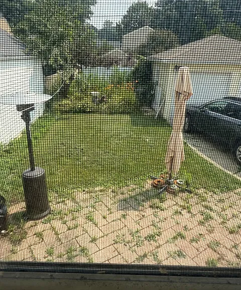 Sunny, fenced yard with patio.