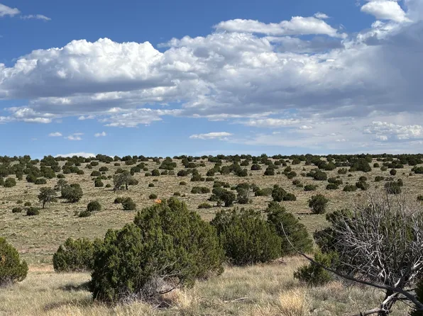 47 Pinon Springs Rd, Magdalena, NM 87825