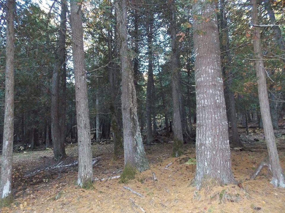 2nd image of Pte Abbaye Rd