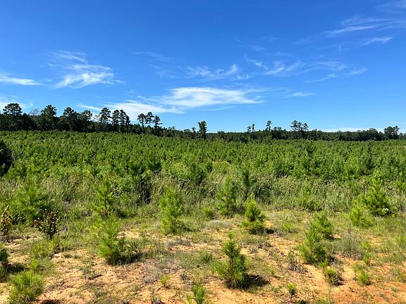 2nd image of Long Cane Creek Rd