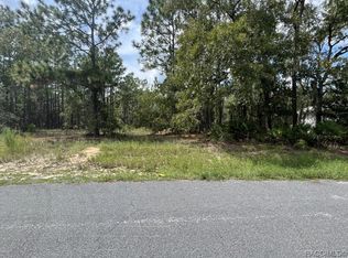 6 Cupania Ct, Homosassa, FL 34446