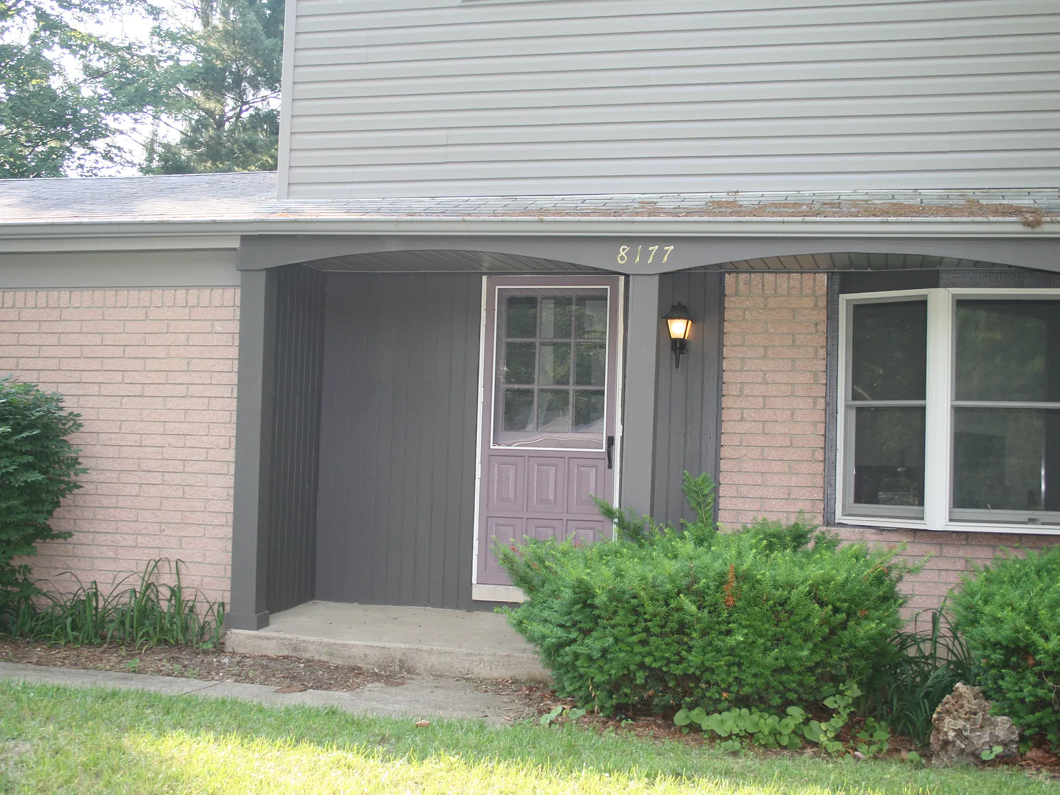 8177 Rene Dr — Photo 3