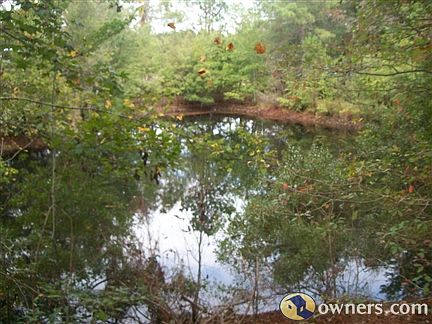 Beautiful black creek water stocked pond