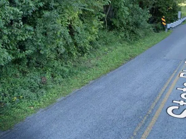 0 Mount Joy Rd, Buchanan, VA 24066