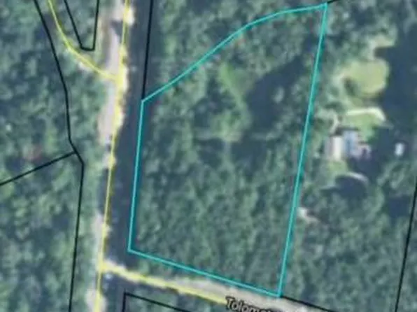0 Off E S Highway Hwy #99, Darien, GA 31305