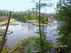 4th image of 11269 Red Pine Dr