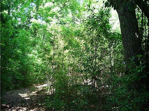 4th image of Riverwalk Dr