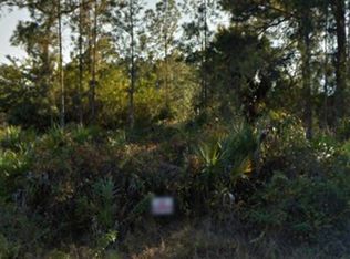 1040 Alcalde St E, Lehigh Acres, FL 33974