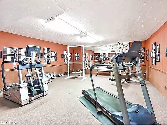 5th image of 3400 Wooster Rd APT 615