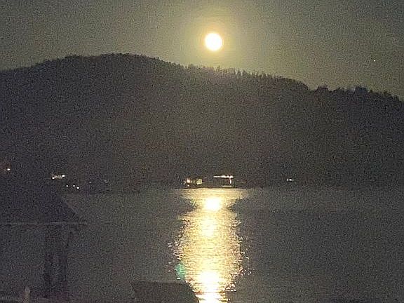 View of moon from backyard 