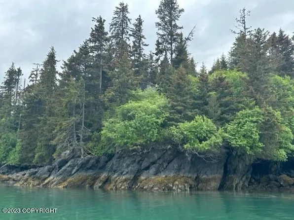 0 Peterson Bay Rem SW, Homer, AK 99603