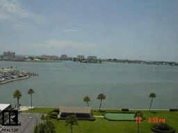 1st image of 4550 Cove Cir APT 901