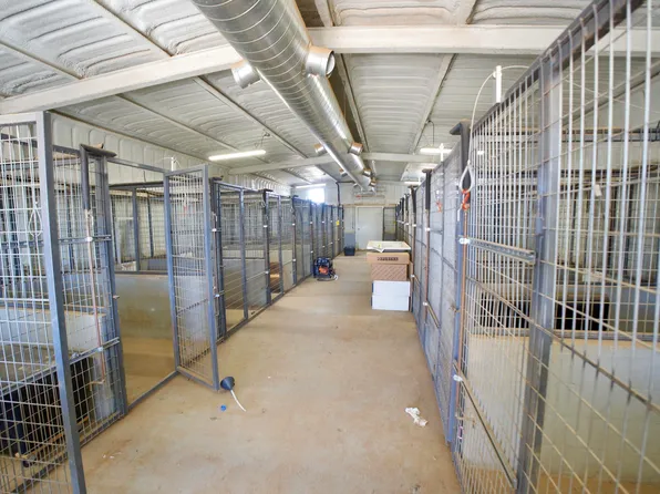 16207 N Fm 179, Shallowater, TX 79363