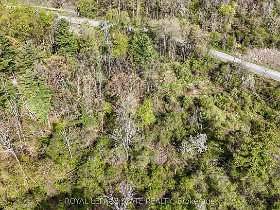 4th image of 0 Mineral Springs Rd