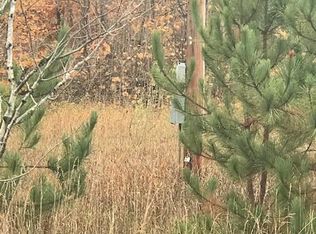 9192 Brudy Rd, Wolverine, MI 49799