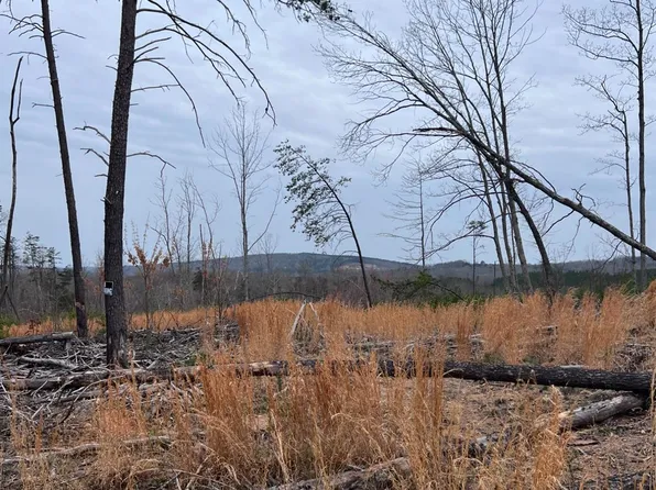 907 Chapel Grove Rd, Evington, VA 24550