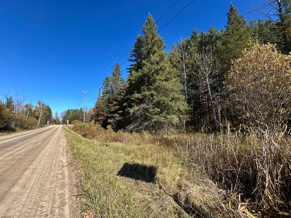 V/l 85a Old Mackinaw Trl, Boyne Falls, MI 49713