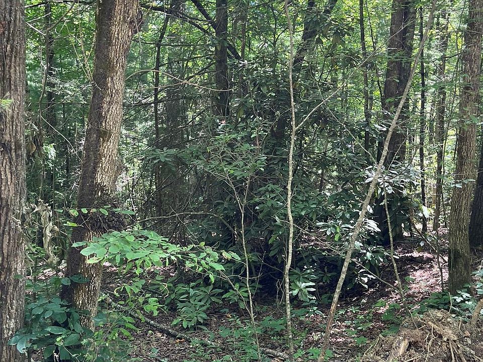 2nd image of 0 Pleasant Grove Church Rd