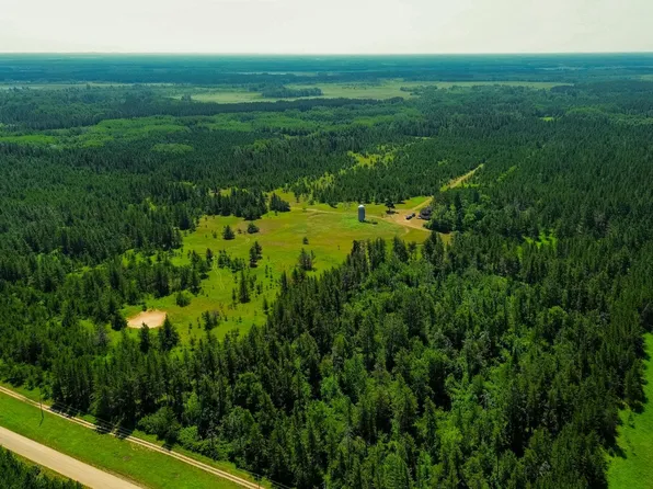 39794 259th Ave, Menahga, MN 56464