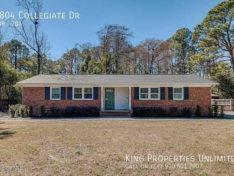 4804 Collegiate Dr — Photo 12