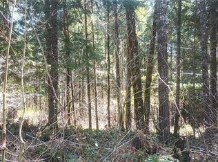 LOT 26 Terrace Way, Packwood, WA 98361