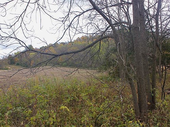 4th image of 6.25 Ac Hwy #131