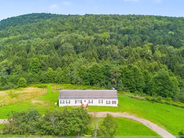 306 Baptist Church Road, CHARLOTTEVILLE, NY 12036