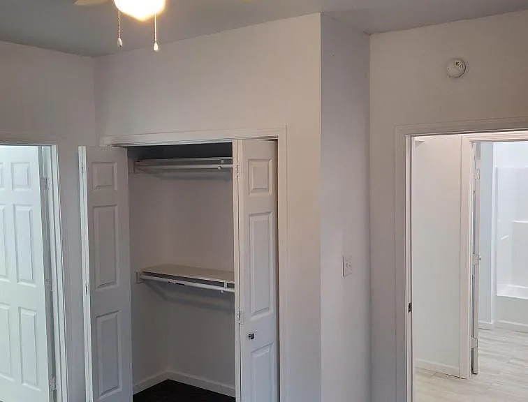 Master Closet 2