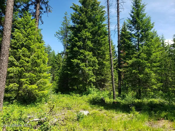 Nka W Adams St, Spirit Lake, ID 83869