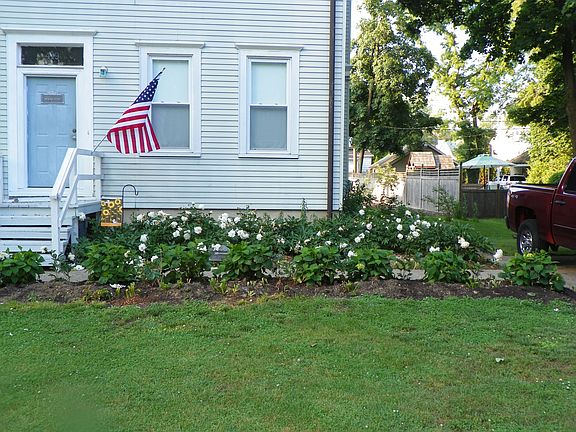 Front garden-peonies