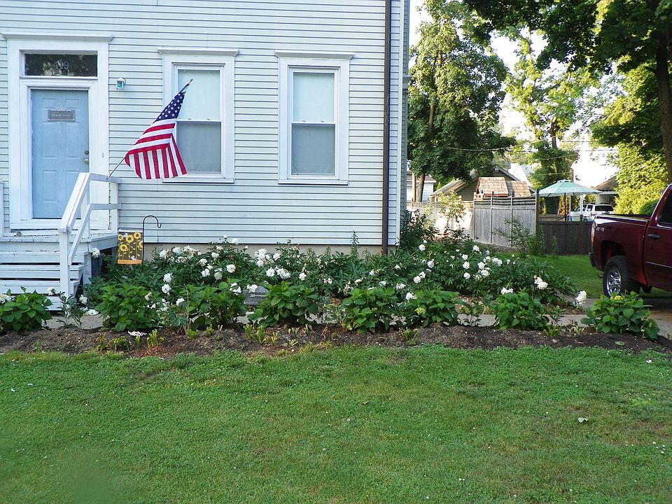 Front garden-peonies