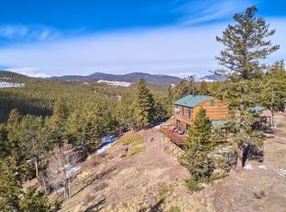 515 N Beaver Rd, Nederland, CO 80403