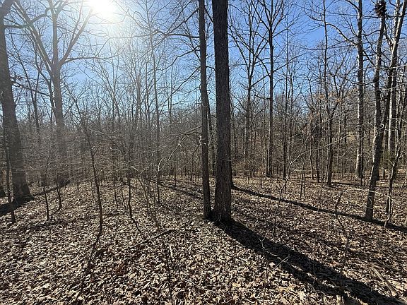 5th image of 29 Backwoods Estates Lot 29