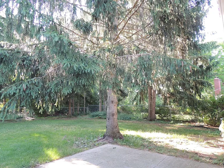 2098 Yorktown Dr — Photo 17