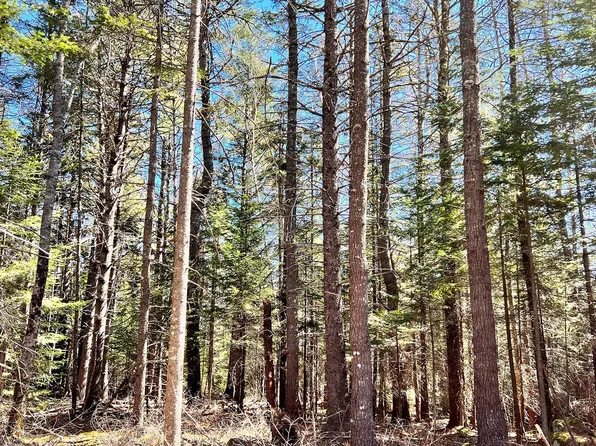 00 Beech Hill Road, Mount Desert, ME 04660