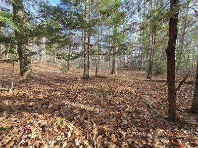 217 Charlestown Road Lot #2, Acworth, NH, 03601