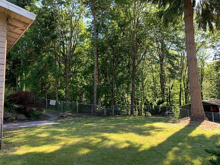 "Very Quiet" Backyard
