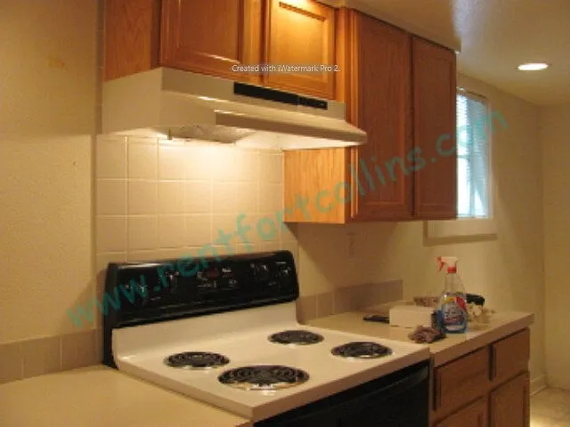515 S Meldrum St — Photo 13