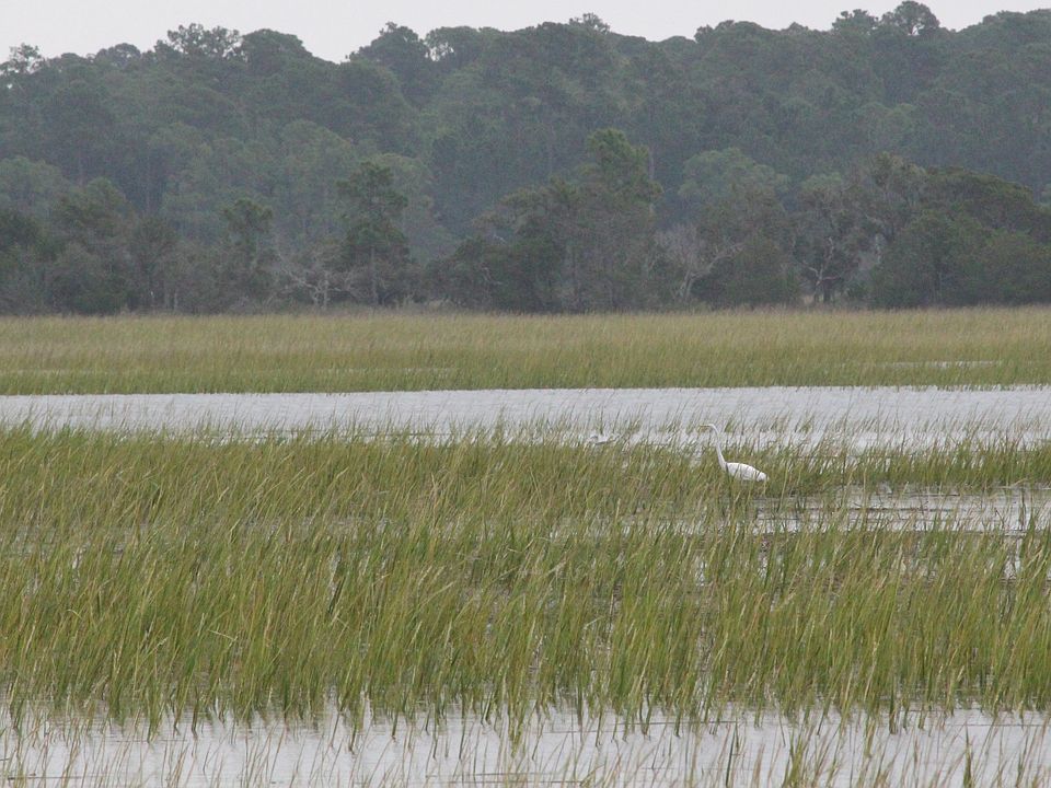 Across Toogoodoo High Tide