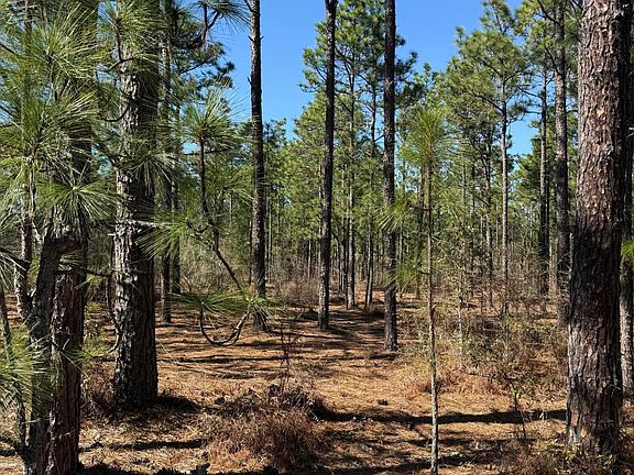 3rd image of Fairview Rd