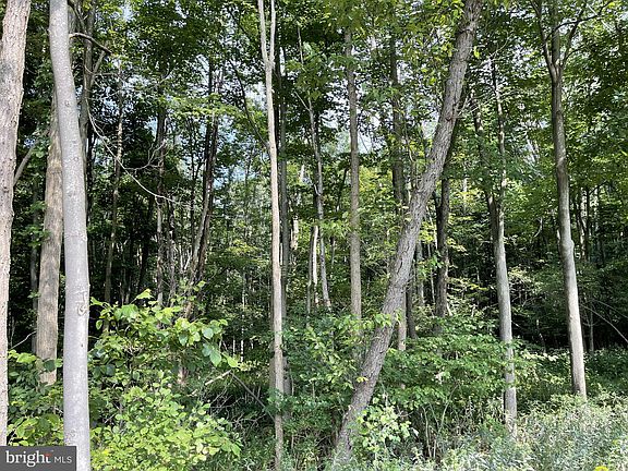 2nd image of Maryland Hwy